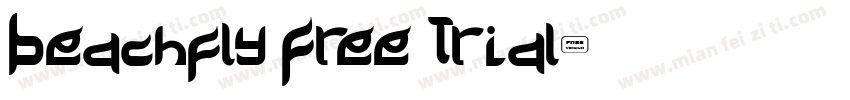 Beachfly Free Trial字体转换